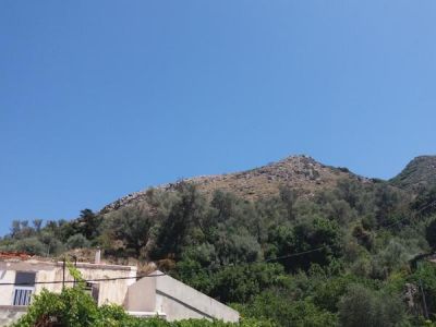 20170712_120116.jpg